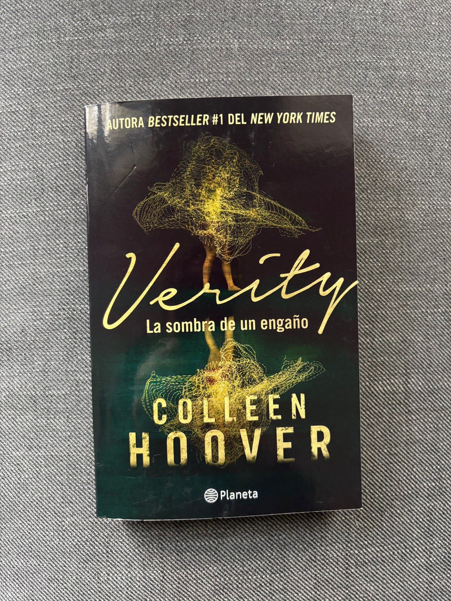 Verity: la sombra de un engaño