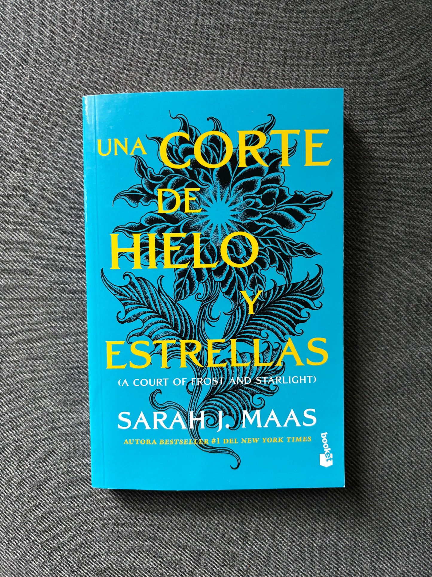 Una Corte de Hielo y Estrellas, Sarah J. Maas