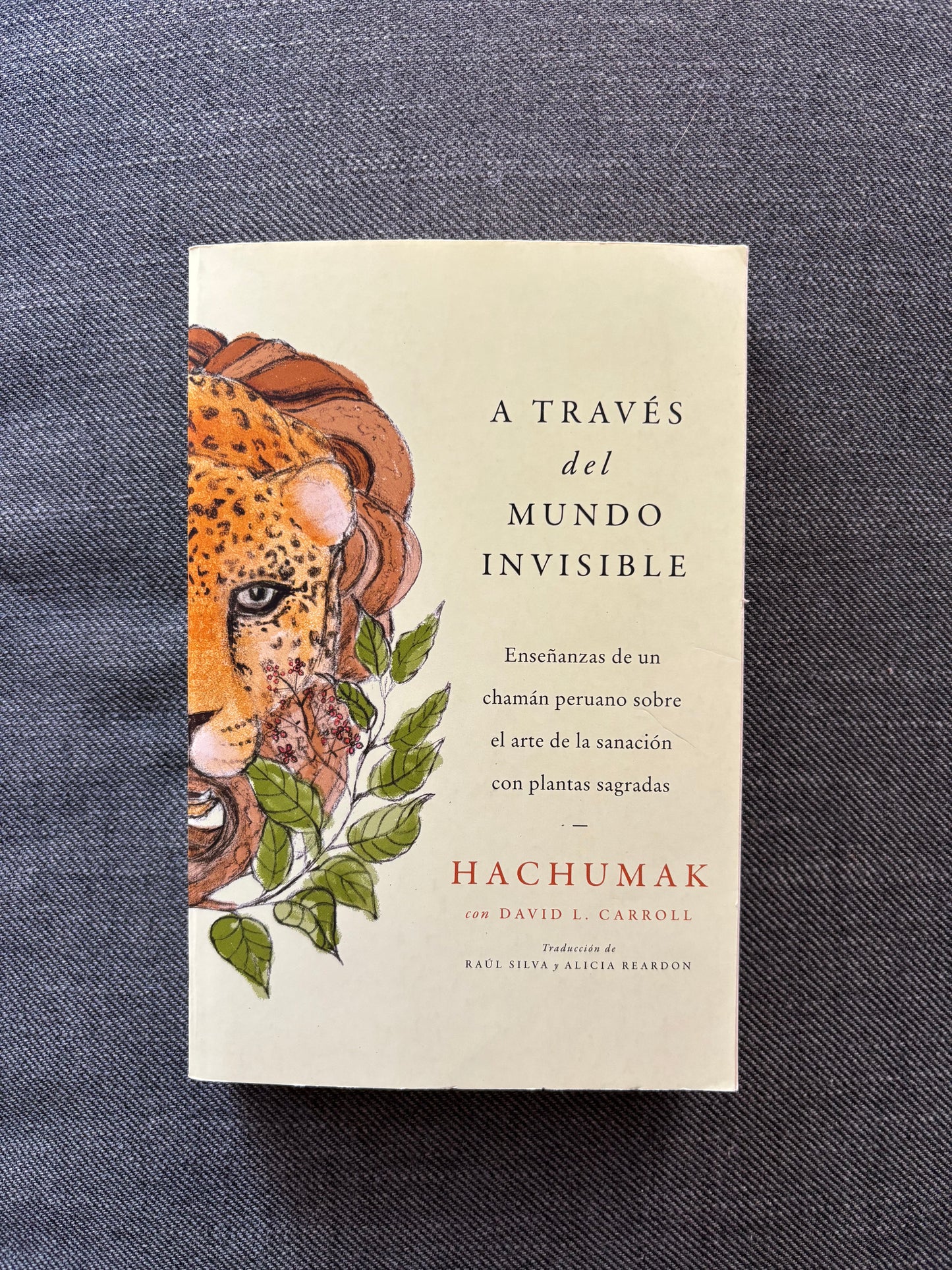 A través del mundo invisible - Hachumak
