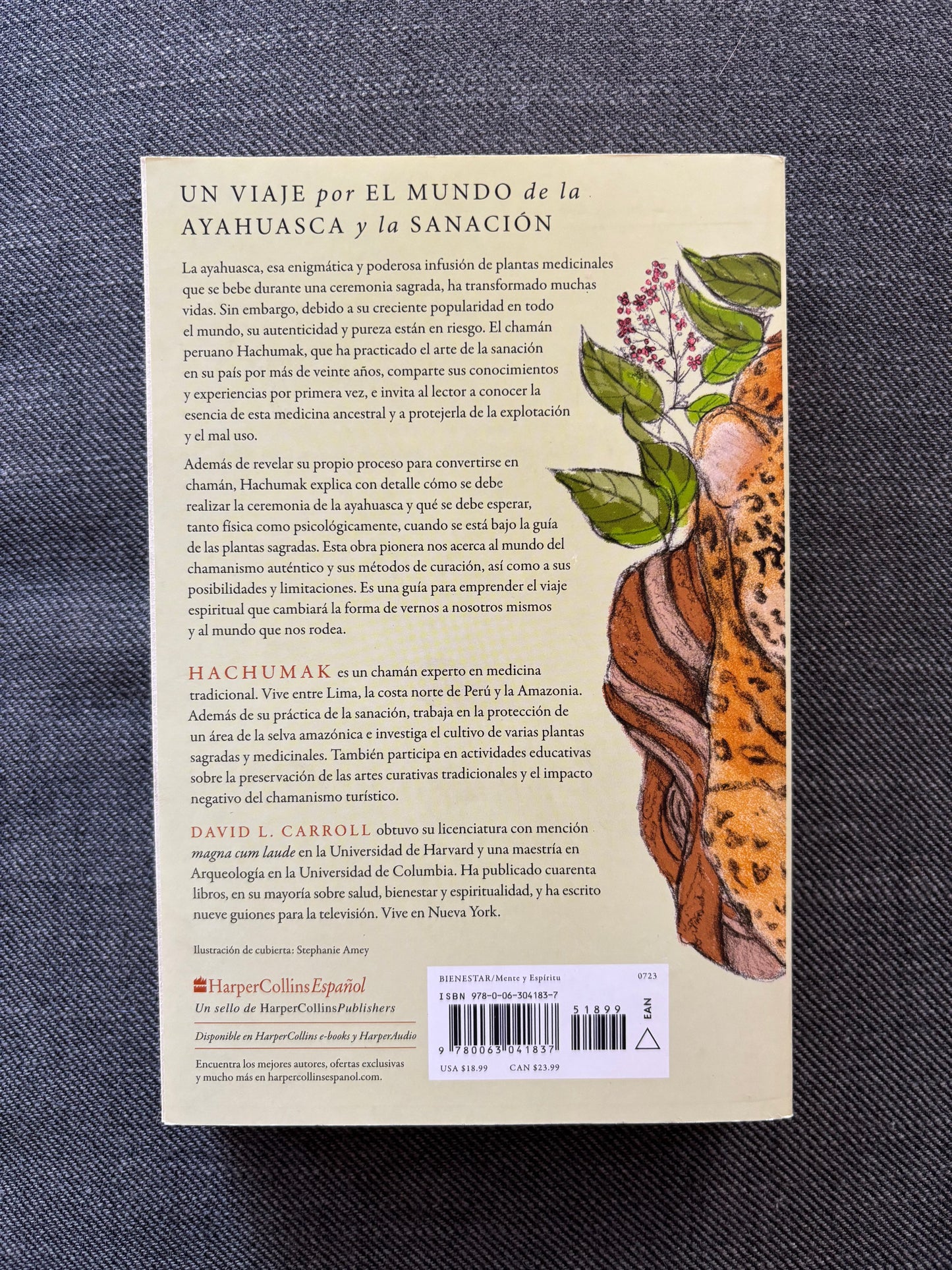 A través del mundo invisible - Hachumak